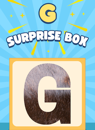 LetterG