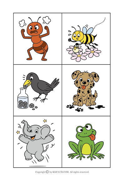 Animal A-Z
