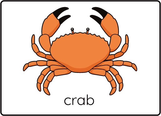 CR cards