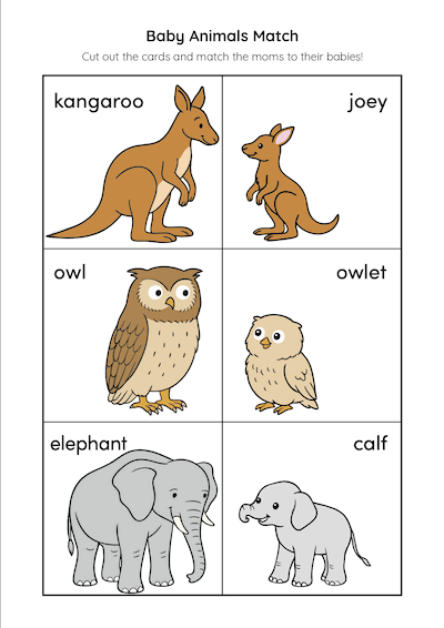 Animal Cutouts