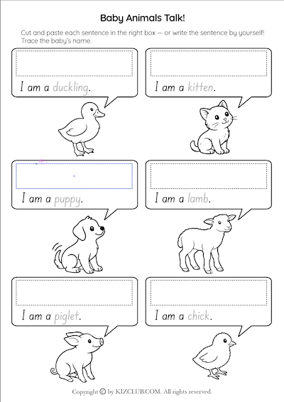 Animal Cutouts