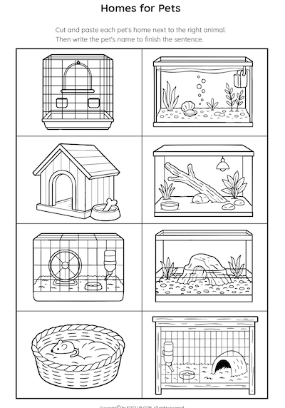 Animal Cutouts