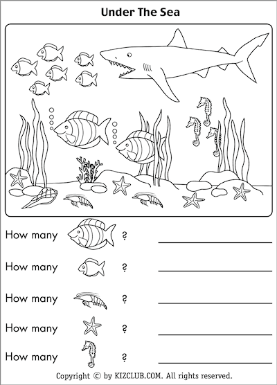 Under The Sea